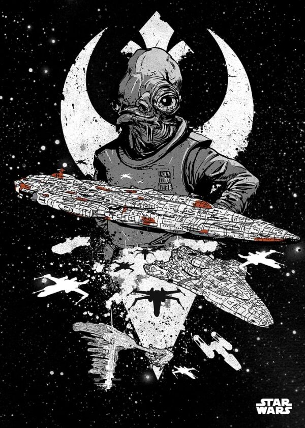 Rebel Fleet poster