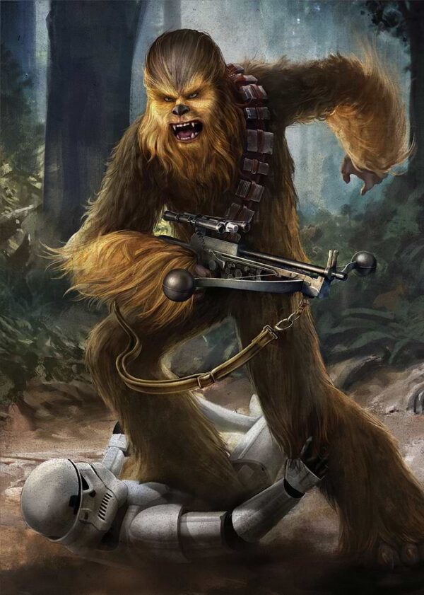 Chewbacca poster
