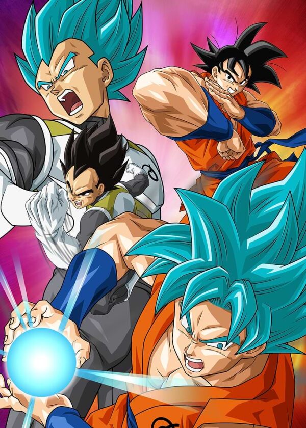 Goku & Vegeta
