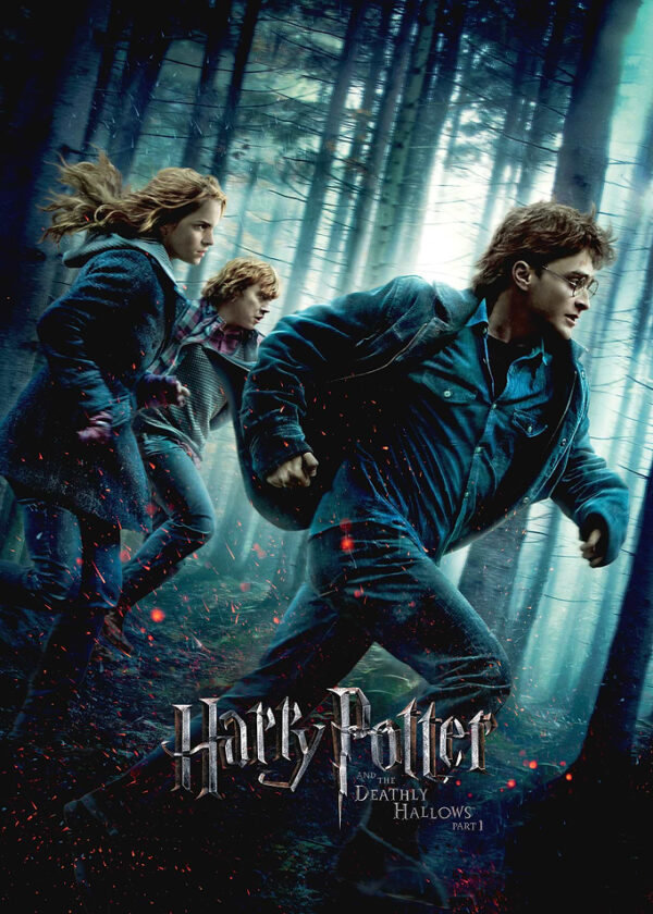 The Horcrux Hunt