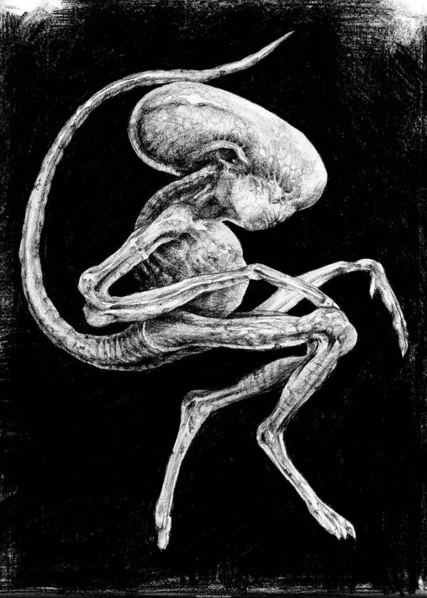 Alien Creature Development Black