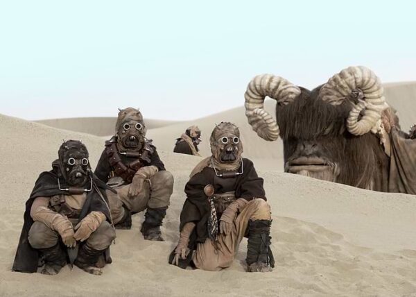 Chapter 2: The Tribes of Tatooine - 12 poster