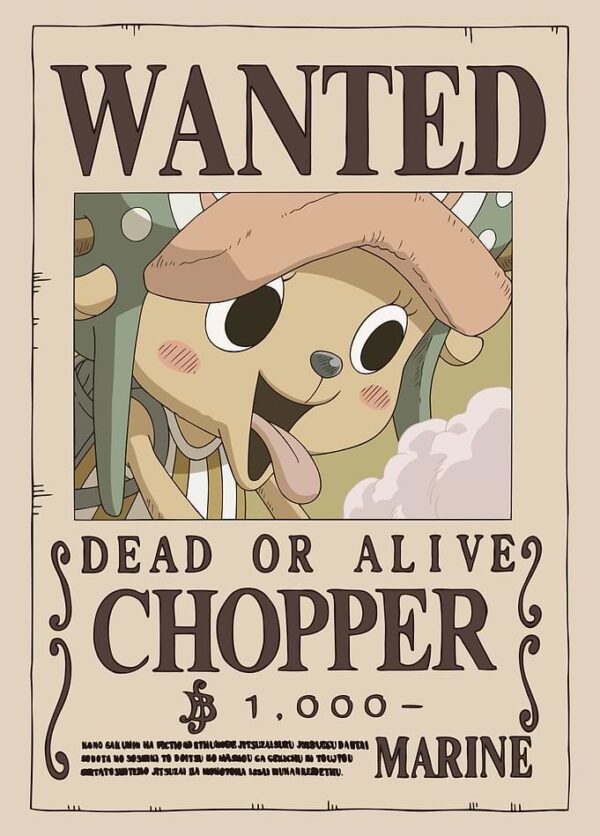 Chopper Wanted after Wano