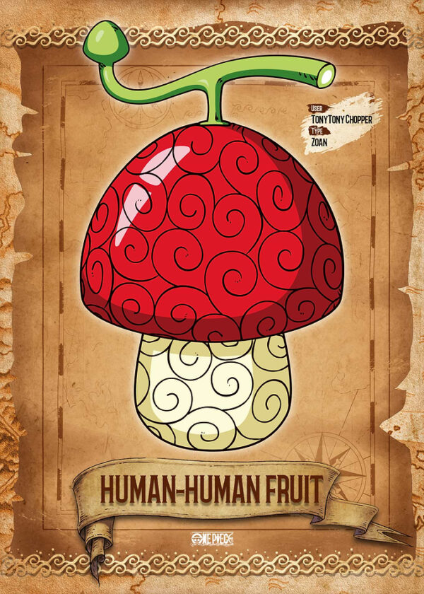 HUMAN-HUMAN Fruit