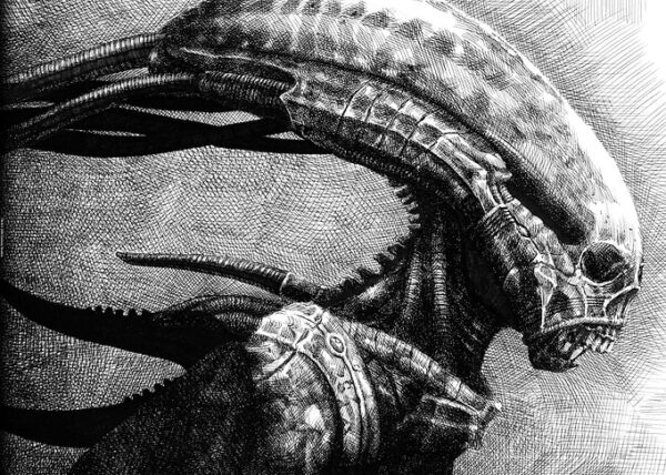 Alien Right Profile Sketch