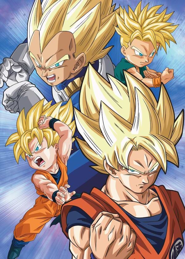 Goku and Vegeta