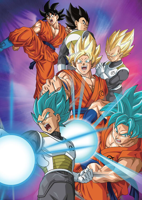 Iconic Saiyan Duo