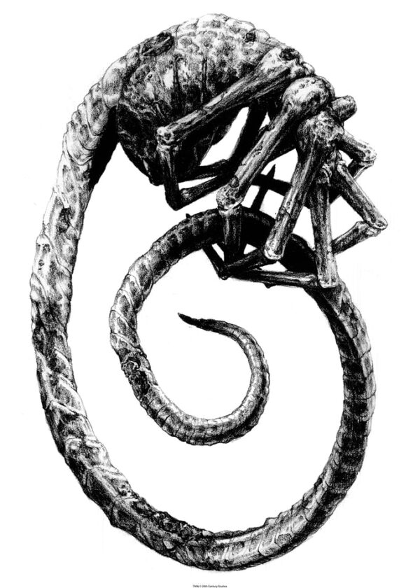 Alien Newborn Sketch