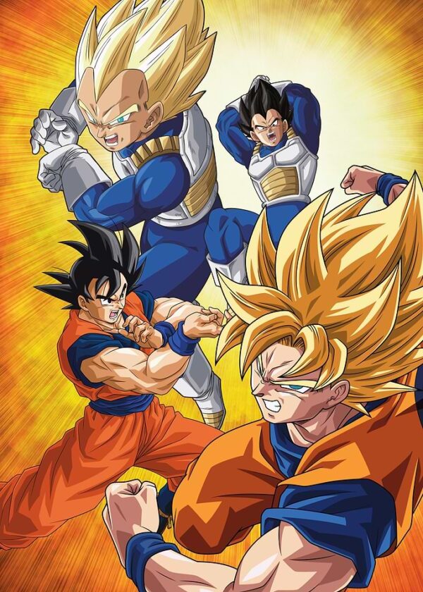 Goku and Vegeta