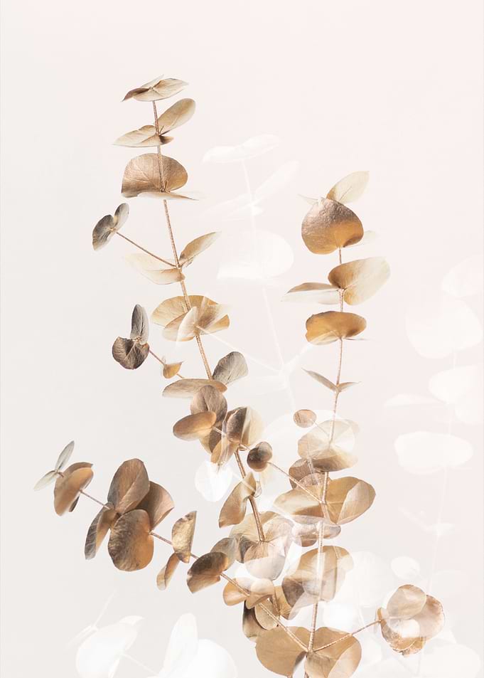 Eucalyptus Creative Gold