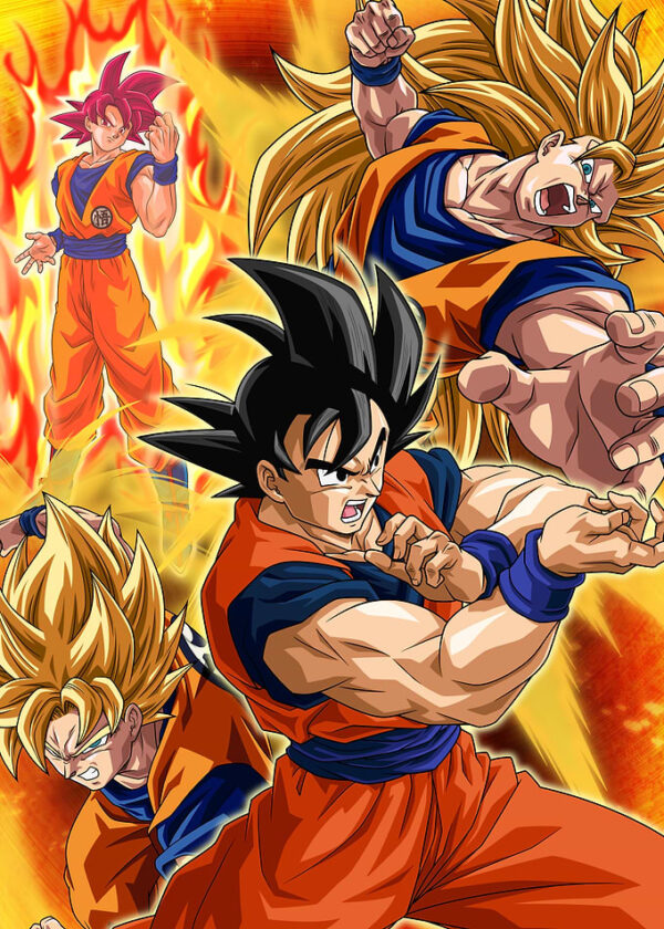 Goku Transformations