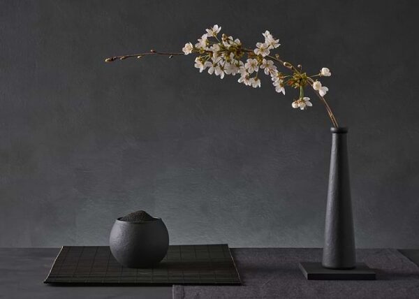 Prunus Avium