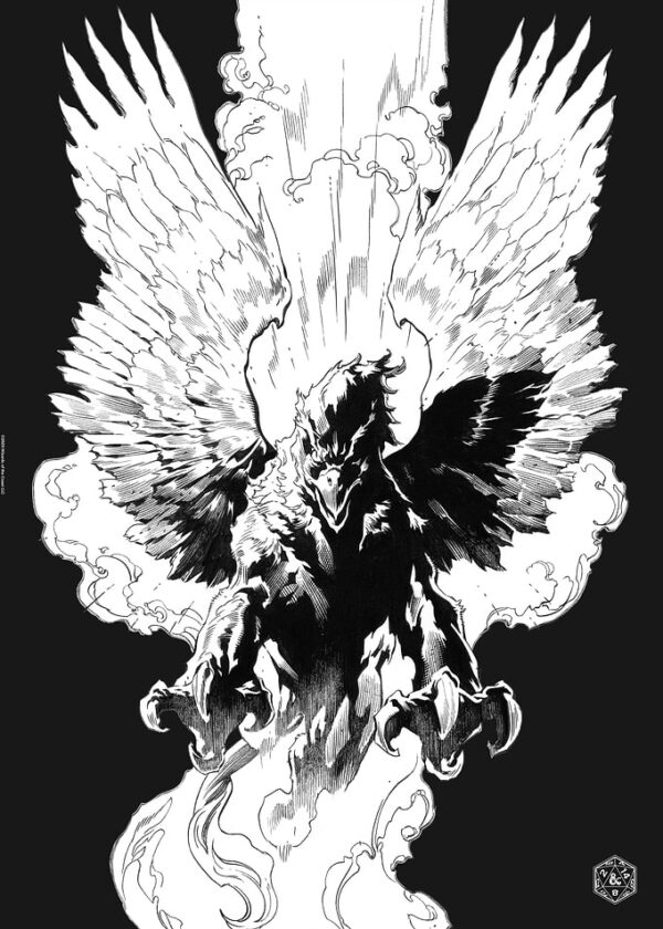 Black N White Griffon