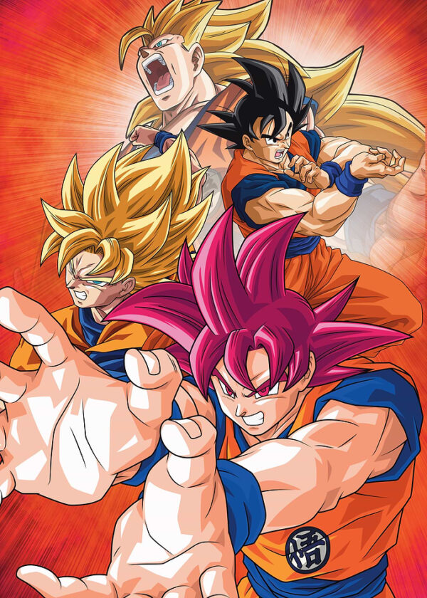 Transformation of Goku