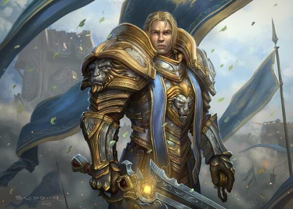 Anduin's Armor
