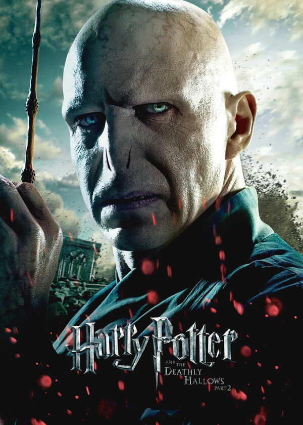 HP8 Voldemort Portrait