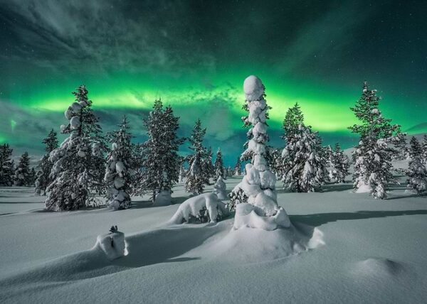 Polar Night
