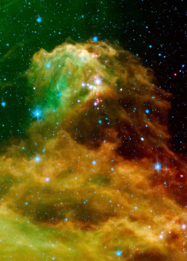 Orion Stars