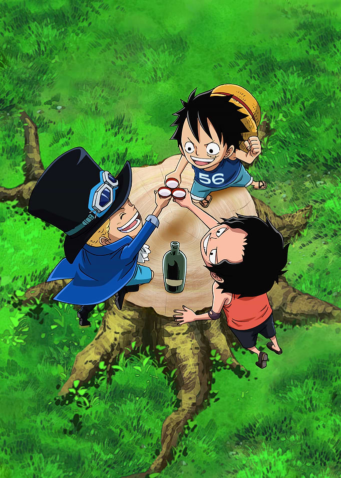 Luffy, Sabo and Ace toast