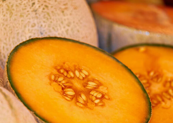 melon