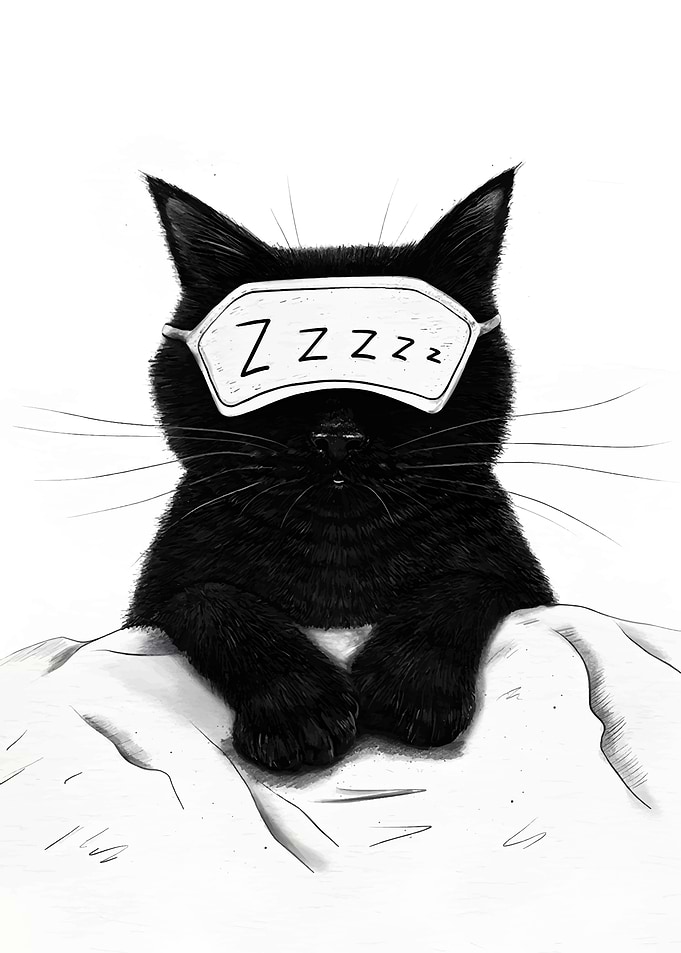 Sleepy Black Cat