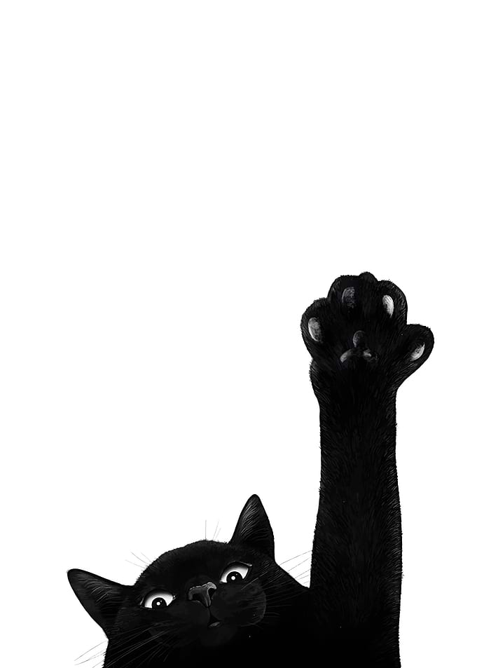 Black Cat Paw Up