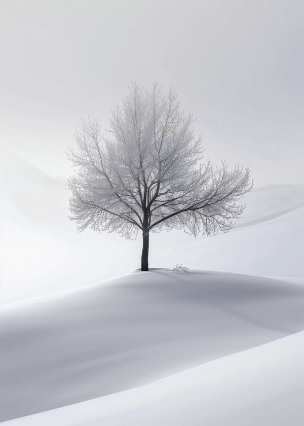 Winters Silent Sentinel