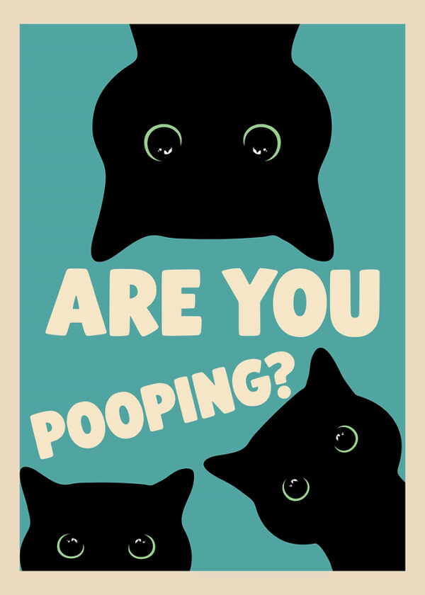 Are You Pooping? Cats Poster