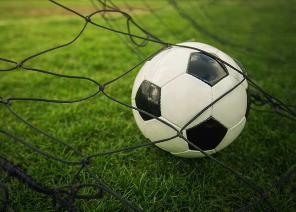Soccer ball in net on grass