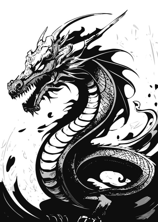 Black and White Dragon