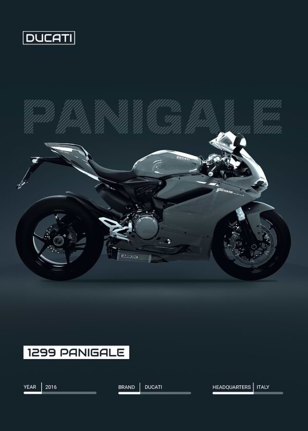 Ducati 1299 Panigale Bike