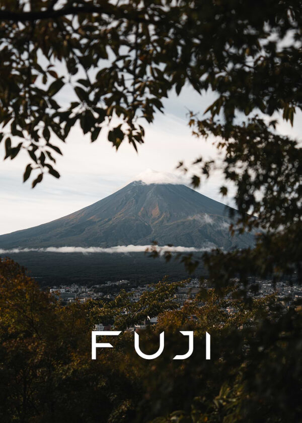 Mount Fuji View Through Trees