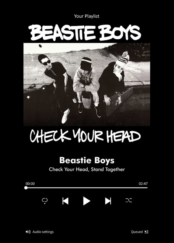 Beastie Boys Check Your Head Song Played
