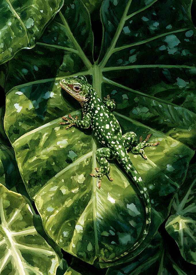 Green Spotted Lizard on Leaf