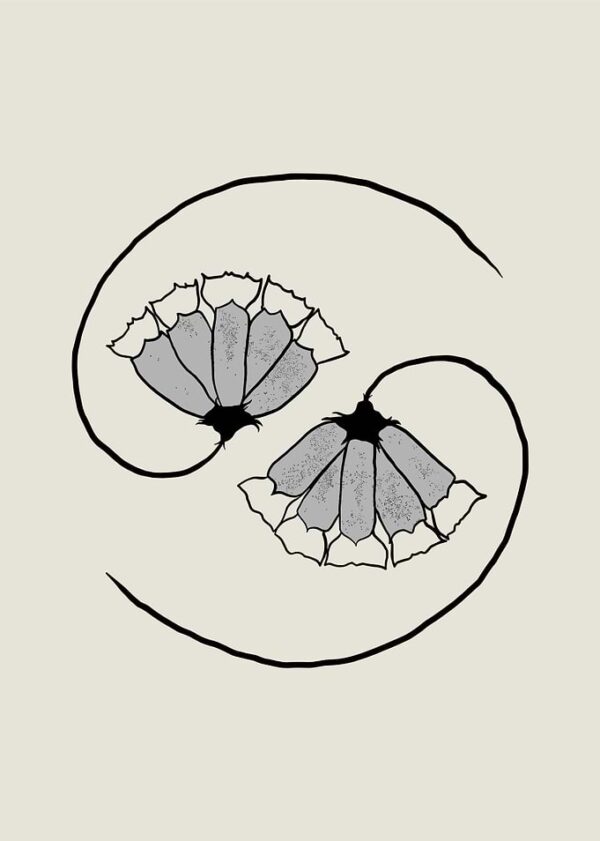 Yin Yang Floral Design