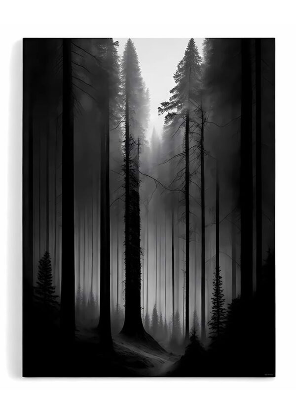 Black and White Foret