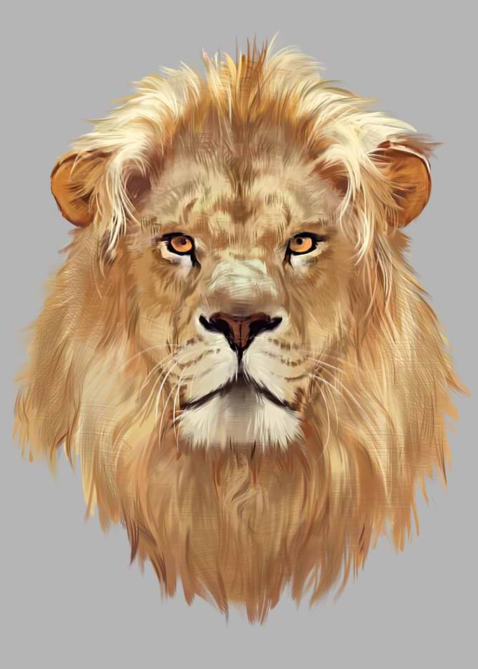 Lion Animal painted