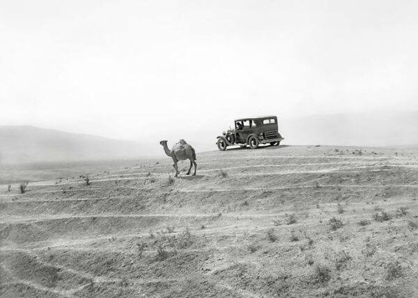 Car and camel