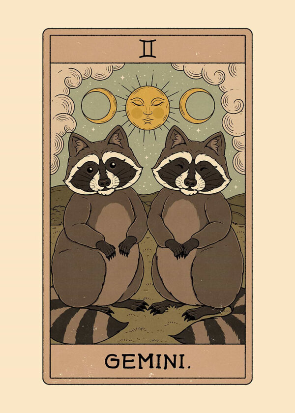 Gemini Raccoon