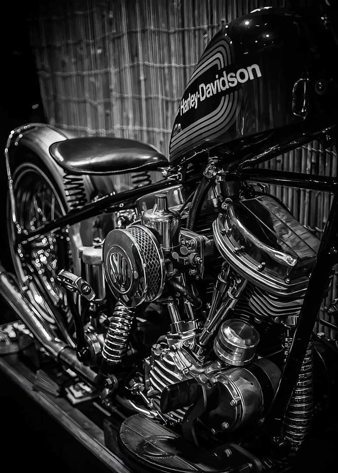 Harley-Davidson Motorcycle Black and White