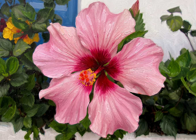 Oil Painting of Pink Hibiscus Flower